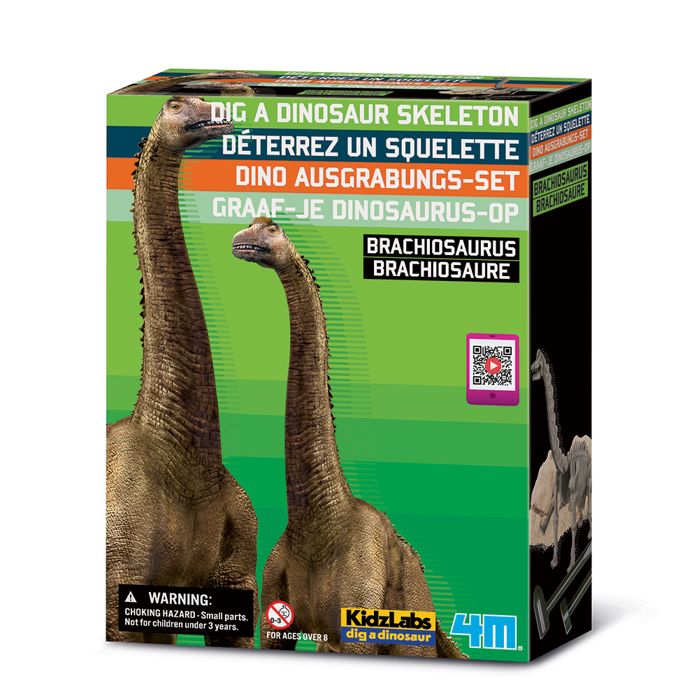 Déterrez un squelette - Brachiosaure - JEUX DE SCIENCE - 4m
